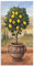 ARTland Wanddeko Wandbild Alu Verbundplatte für Innen & Outdoor Bild 50x100 cm Toskana Zitrone Baum Italien Landschaft Mediterran Botanik Terracotta T4MN