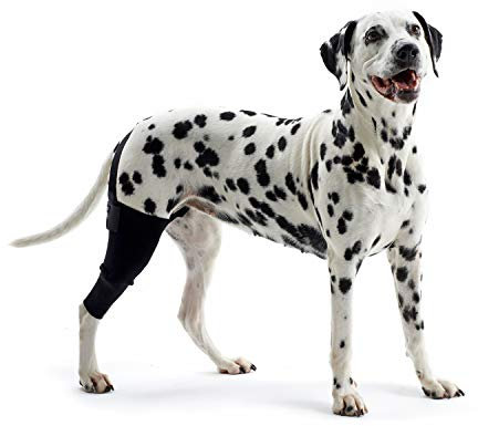 Kruuse Rehab Knie-Schutz für Hunde (Large -Links) (Schwarz)