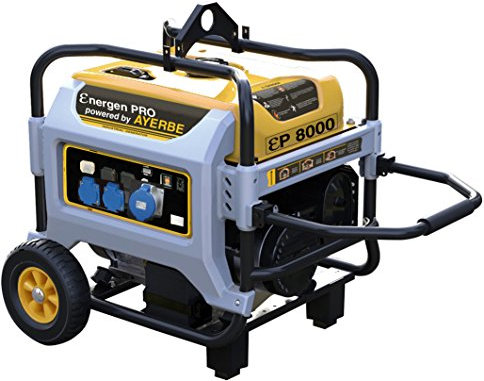 Ayerbe ENER-GEN PRO 6600 Generador, 5000W