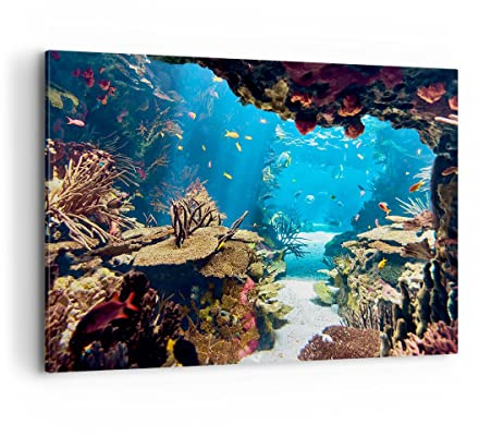 Bilder auf Leinwand 100x70cm Leinwandbild Ozean Riff Fische Koralle Groß Wanddeko Bild Schlafzimmer Küche Deko Wandbilder Dekoration Wohnzimmer Wall Decor Canvas Wand Kunstdruck Art AA100x70-2872