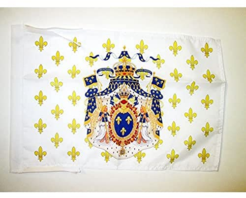 AZ FLAG - Drapeau Royaume de France Grandes Armes - 45x30 cm - Pavillon Royaliste Fleur De Lys 100% Polyester Avec Deux Cordelettes - 20g