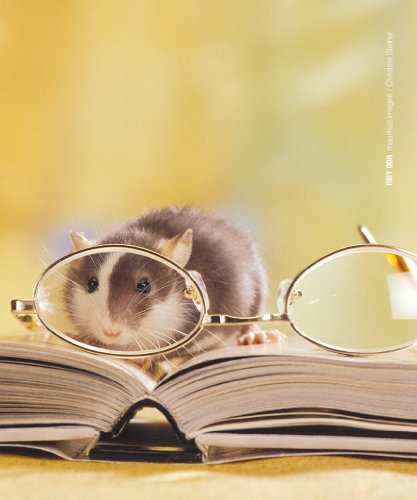 Brillenputztuch Leseratte mit Brille
