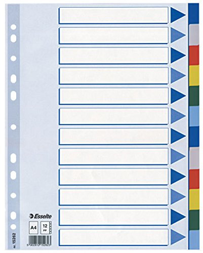 Leitz Blanko Plastikregister (Polyproplyen, A4, 12 Blatt) hellblau (5, 12 Taben)