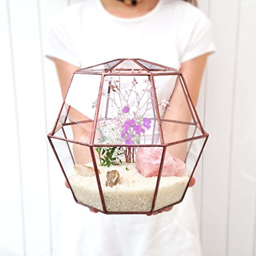 Terrarium en verre octogone géométrique moderne 23/fleurs/jardinage intérieur/à la main par loveglass