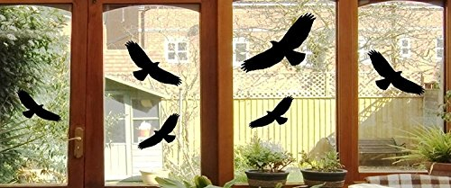 6 Vogel Aufkleber - Vögel Fenster Glas Greifvogel Fensterbild je 24x10cm B397 (schwarz)