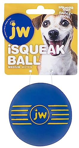 JW Isqueak Ball Medium By Squealing Thick Rubber Ball For Dogs, M