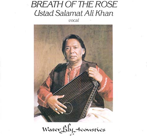 Water Lily Acoustics