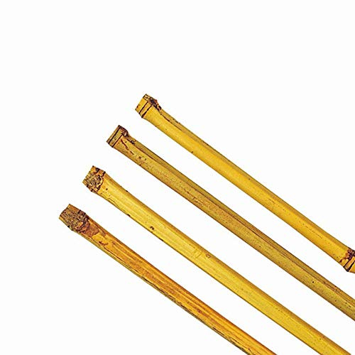 Bambusstab 18-21 180 cm