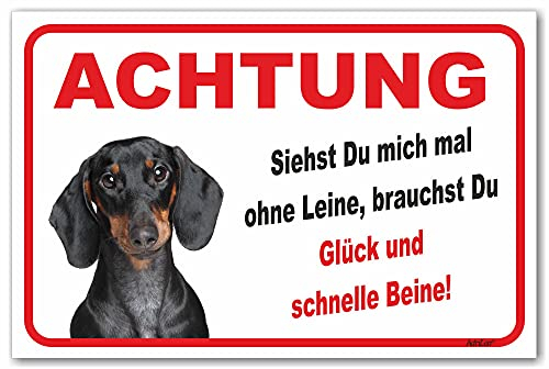 AdriLeo Schild - Vorsicht Kurzhaardackel - Ohne Leine - (20x30cm) / Achtung Hund Wachhund Dackel Teckel Dachshund robust langlebig UV-beständig wetterfestes Warnschild