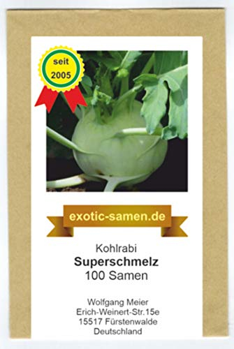 Kohlrabi - Superschmelz - riesige Knollen - 2 bis 4 kg - 100 Samen