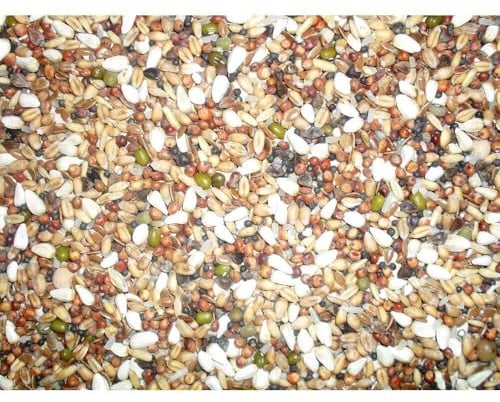 Johnston & Jeff Pigeon Trapping Mixture, 12.5 kg