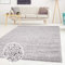 ayshaggy Shaggy Teppich Hochflor Langflor Einfarbig Uni Grau Weich Flauschig Wohnzimmer, Größe: 200 x 290 cm