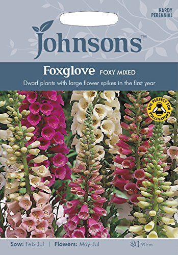 Johnsons 22694 Flower Seeds, Foxglove Foxy Mixed