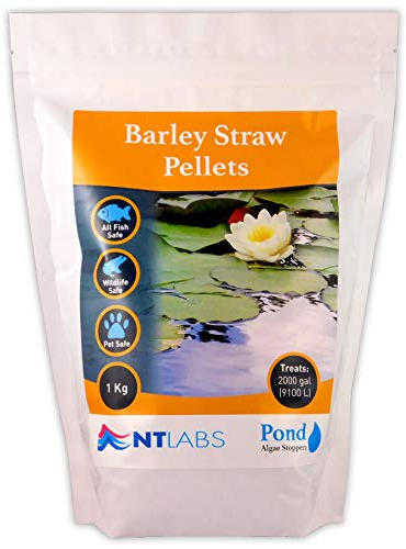 NT Labs Pond Algae Stopperz, Pond Barley Straw Pellets, Controls Green Water in Ponds, Natural Blanketweed Control, Improves Pond Water Quality, 1KG