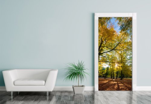 Bilderdepot24 Türtapete selbstklebend Blätterfall im Herbst 90 x 200 cm - einteilig Türaufkleber Türfolie Türposter Wald - Sonnenstrahlen - Licht - Bäume - Forst - Natur - Jahreszeit - Herbstlich