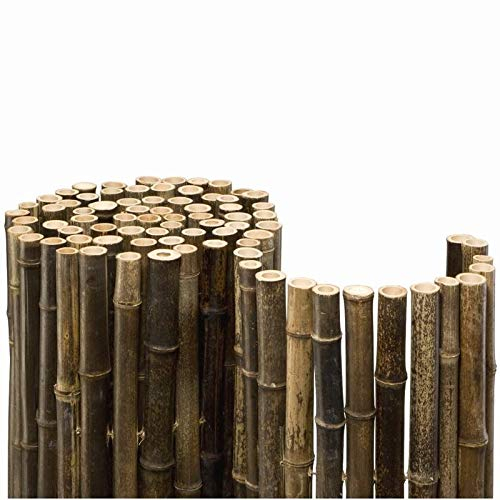 NOOR Bambusmatte Black Bambus Sichtschutz Zaun Ø 24 mm, 154BLACK15X2