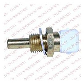 Delphi TS10255 Switch