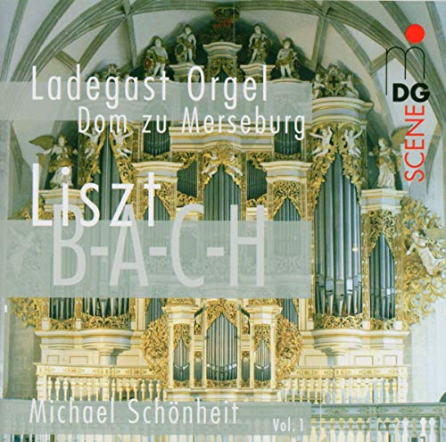 MDG MDGSA1334