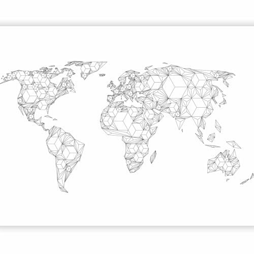 murando - Papier peint panoramique moderne 350x270 cm - Revêtement mural décoration pour chambre salon - Design unique et moderne - Gris noir blanc - Carte du monde des continents 10040910-65