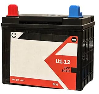 TOPCAR - Batterie Tondeuse 12V 30Ah 300A - U19