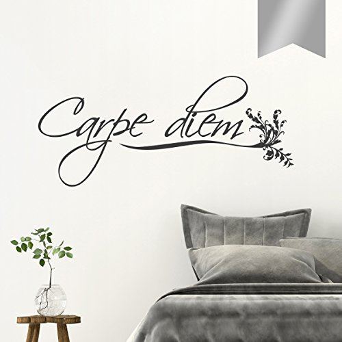 WANDKINGS Wandtattoo Carpe Diem 100 x 44 cm Silber - erhältlich in 33 Farben