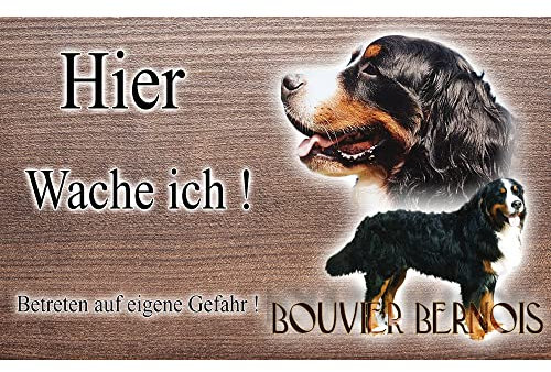 Warnschild Hund oder Warnzeichen Berner Sennenhund 30 cm