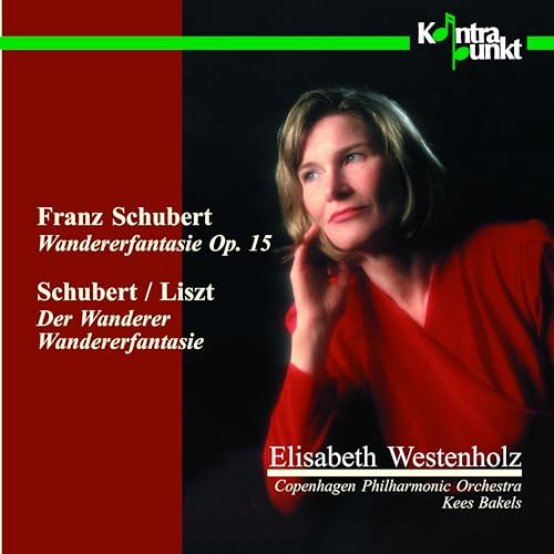 Wandererfantasie, Der Wanderer