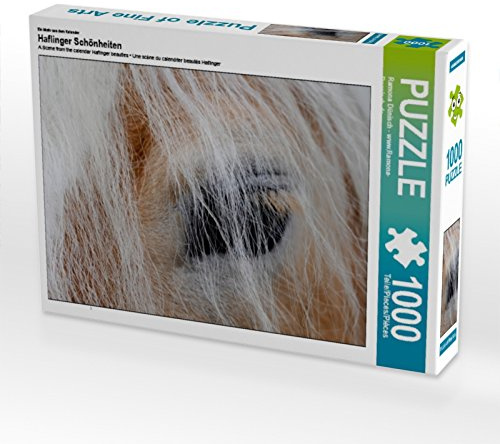 CALVENDO Puzzle EIN Motiv aus dem Kalender Haflinger Schönheiten | 1000 Teile Lege-Größe 64 x 48 cm Foto-Puzzle für glückliche Stunden