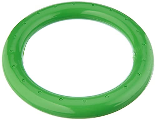 BECO Tauchring Schwimmring, Wurfring Wasserspielzeug massiv für Kinder, grün, One size, 9607