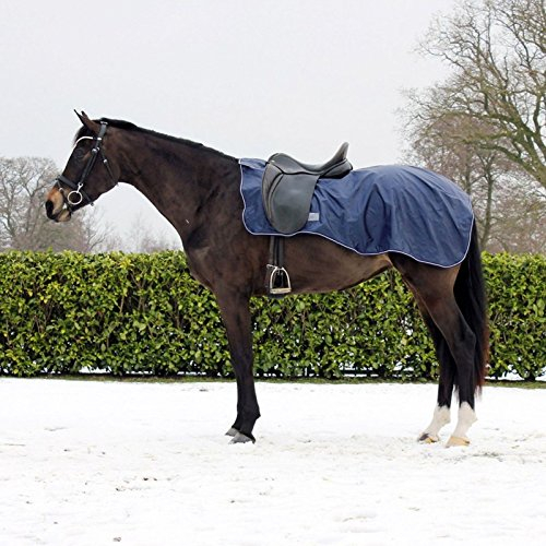 QHP Ausreitdecke für Pferd, 420 D gefüttert mit Fleece, Sattelausschnitt, Klettverschluss, Blau, L/145cm