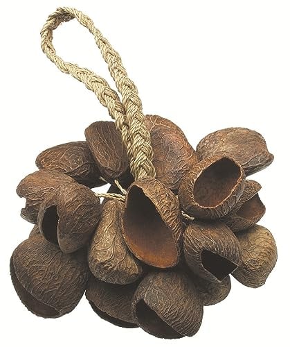 Toca TO804444 - Seed Shell Shaker