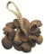 TOCA TO804444 Seed Shell Shaker