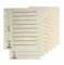 Pagna 44063-12 Trennblätter Easy Rip Kraftkarton, für Register bis zu 20 Blatt, A4 1 Pack = 100 Trennblätter, orange