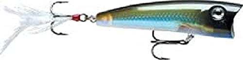 Rapala - X-Rap Pop Angelköder - Angelzubehör mit Großem Konkavem Kopf - Süßwasser und Salzwasser Spinnköder - Lauftiefe Topwater - Fischköder 7cm, 11g - Hergestellt in Estland - Moss Back Shiner