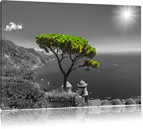 Pixxprint Mediteraner Baum am Mittelmeer B&W, Größe: 120x80cm, Leinwandbild, fertig gespannt, Wandbild, Dekoration, Kunstdruck, kein Poster