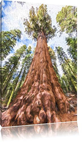 Pixxprint Mammutbaum im Regenwald Pinsel Effekt, Größe: 80x60cm, Leinwandbild, fertig gespannt, Wandbild, Dekoration, Kunstdruck, kein Poster