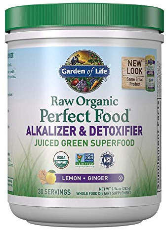 Garden of Life Vegan Green Superfood Powder - Raw Organic Perfect Whole Food Alkalizer & Detoxifier, 10.1oz (285g) Powder