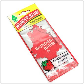 3 er Pack Wunderbaum Erdbeere