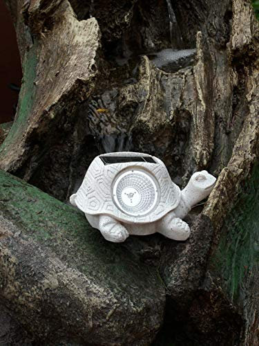 Ranex Solarleuchte Schildkröte