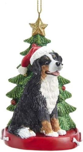Kurt S. Adler Bernese Mountain Dog Wearing Santa Hat with Christmas Tree Ornament E0369BM New