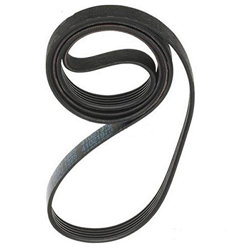 Candy 1225 J5 POLY-V (5EPJ) Washing Machine Belt