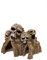 Rosewood 915640 Aquariumdeko Schädelberg, Medium