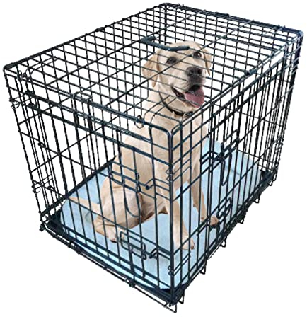 Ellie-Bo Black Deluxe Small 24-inch Folding 2-Door Dog Cage/Crate with Metal Tray and Dog Bed Mat