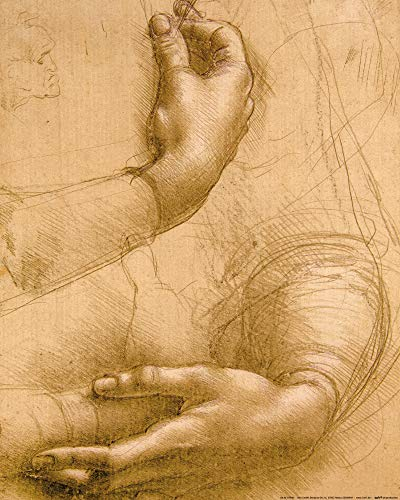 1art1 Leonardo Da Vinci Poster Handstudie, Circa 1478 Kunstdruck Bild 50x40 cm