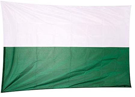 Fahnen Kössinger, Hissflagge im Querformat, Fahne Bundesland Steiermark, Hissflagge ohne Wappen, hochwertiger Siebdruck, brillante Farben, weiß-grün, reißfest, 250 x 150cm, 3,75 m² Fläche
