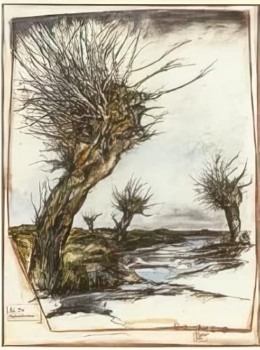 Kunstdruck/Poster: Ole West Kopfsteinpflaster Weidenland - hochwertiger Druck, Bild, Kunstposter, 25x32 cm