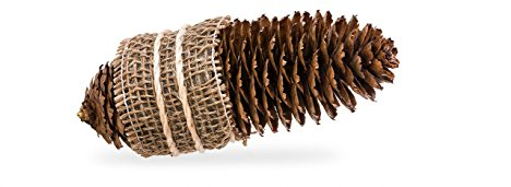 Conefire, Kaminanzünder für Kamin ,Anzünder für Ofen und Grills, 100 Stück