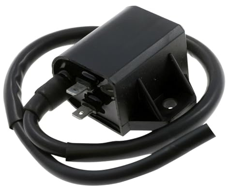 2EXTREME CDI/Zündspule kompatibel mit Suzuki AP50, ITALJET Formula 50 AC | Morini AC/LC alt, 12V, 2 Pins, ohne Kerzenstecker; kompatibel mit DERBI Vamos 50, APRILIA Mojito 50, ATALA Skeggia 50 AC