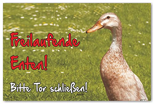 AdriLeo Schild - Vorsicht Indische Laufente - Freilaufende Ente - (15x20cm) / Achtung