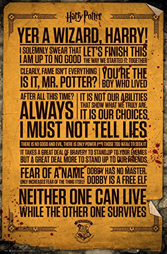 Harry Potter Poster Quotes 61 x 91.5cm Maxi Poster